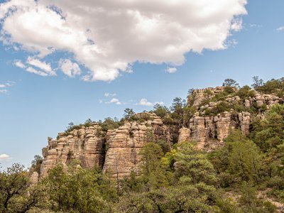 Mexiko Tiere: Eine Übersicht über die einzigartige Tierwelt in Mexiko 14 Cumbres de Majalca Chihuahua - Kolumbien Individual
