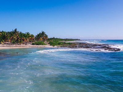 Mexiko Tiere: Eine Übersicht über die einzigartige Tierwelt in Mexiko 15 Quintana RPO - Kolumbien Individual