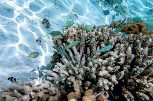 Mexiko Kultur: Einblicke in die Religion & Menschen 30 Mexiko kultur 8 - Kolumbien Individual