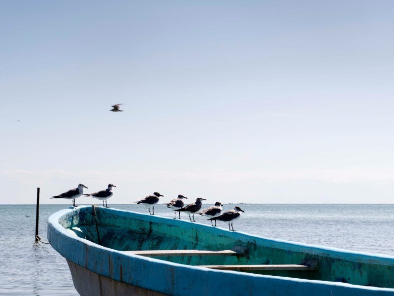 Die schönsten Mexiko Inseln: Paradiesische Ziele für Ihren Traumurlaub 26 Isla Aguada 2 - Kolumbien Individual