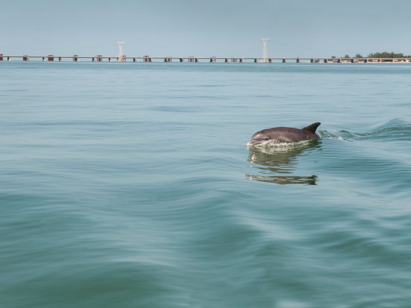 Die schönsten Mexiko Inseln: Paradiesische Ziele für Ihren Traumurlaub 25 Isla Aguada 3 - Kolumbien Individual