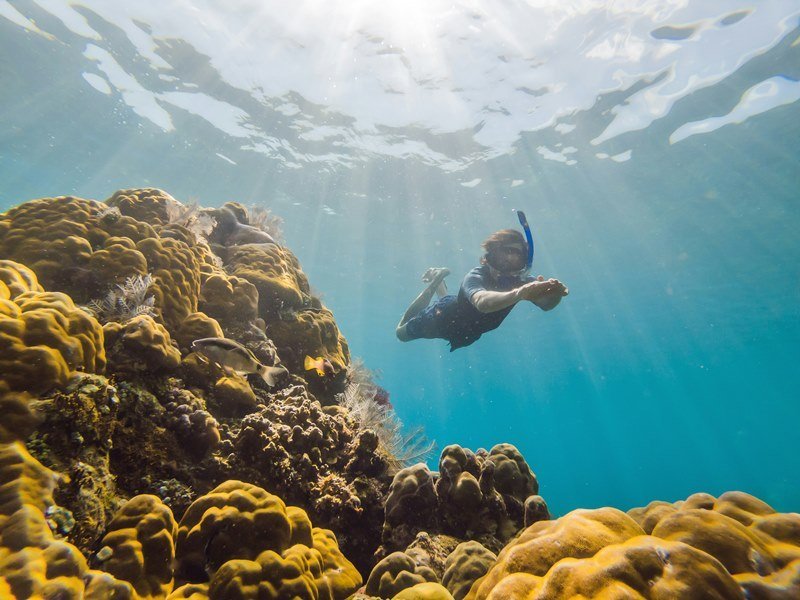 Mexiko Schnorcheln und Tauchen - Die besten Spots für Ihre Rundreise: Unterwasserparadiese entdecken 32 Die Riffe vor Playa del Carmen - Kolumbien Individual
