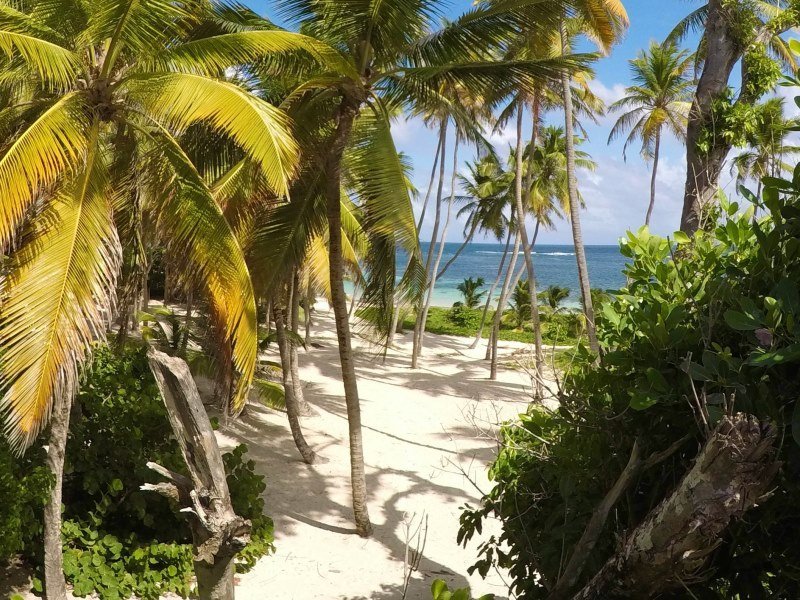 Mexiko Schnorcheln und Tauchen - Die besten Spots für Ihre Rundreise: Unterwasserparadiese entdecken 15 Insel Guadalupe - Kolumbien Individual