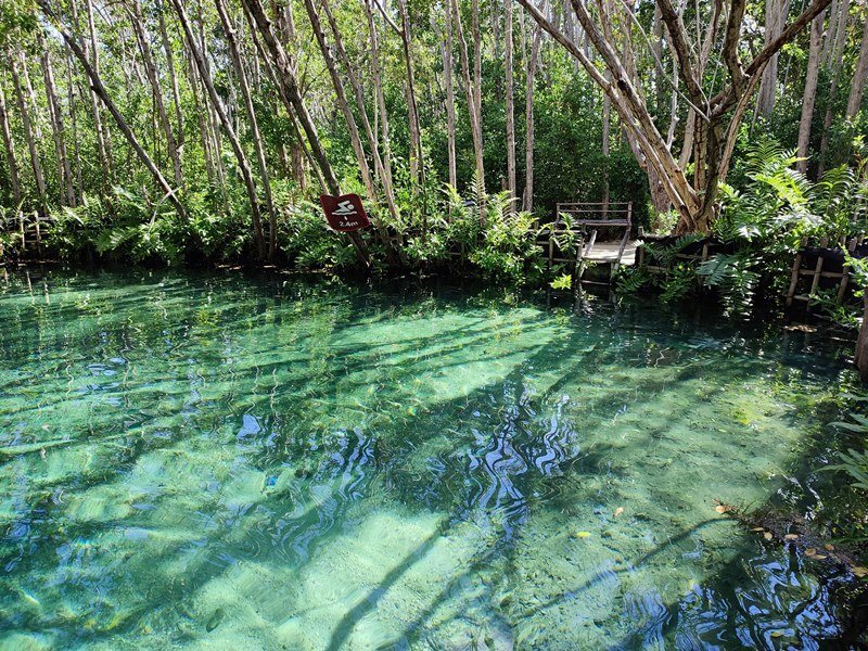 Mexiko Schnorcheln und Tauchen - Die besten Spots für Ihre Rundreise: Unterwasserparadiese entdecken 27 Reserva Ecologica El Corchito Progreso Yucatan - Kolumbien Individual