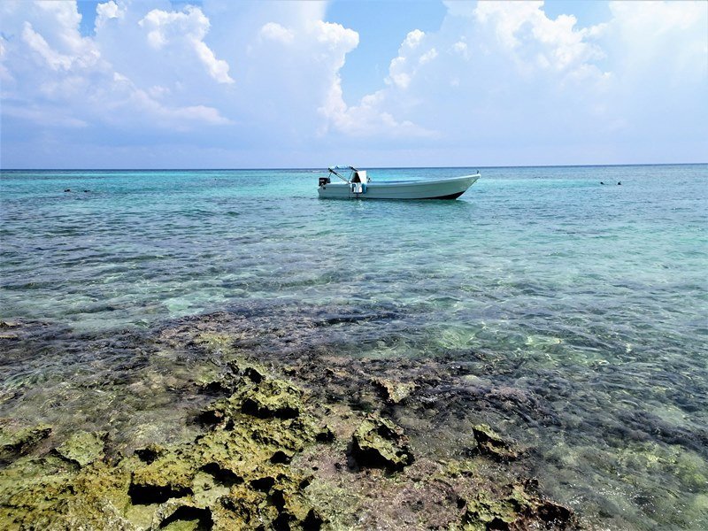 Mexiko Schnorcheln und Tauchen - Die besten Spots für Ihre Rundreise: Unterwasserparadiese entdecken 11 Rivera Maya - Kolumbien Individual