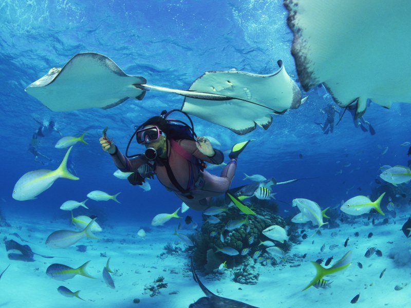 Mexiko Schnorcheln und Tauchen - Die besten Spots für Ihre Rundreise: Unterwasserparadiese entdecken 30 Schnorchelgebiete - Kolumbien Individual