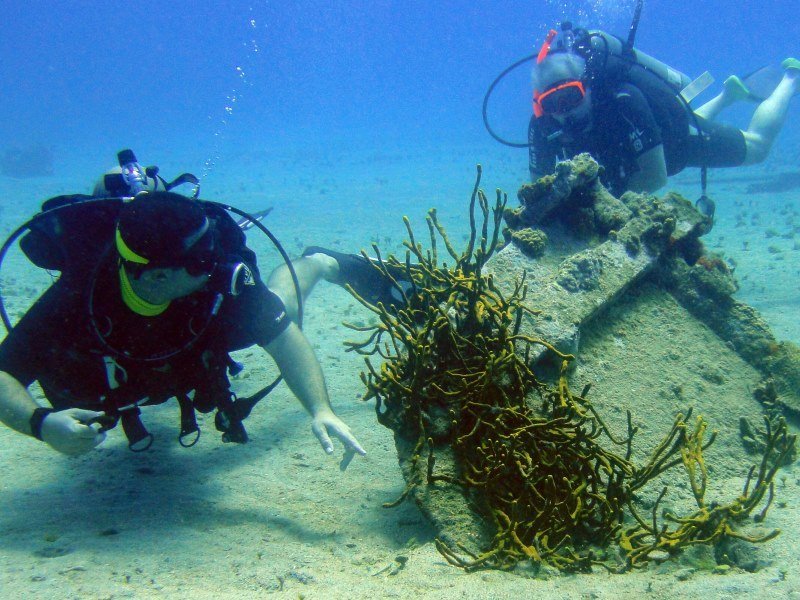 Mexiko Schnorcheln und Tauchen - Die besten Spots für Ihre Rundreise: Unterwasserparadiese entdecken 24 Tauchinfrastruktur - Kolumbien Individual