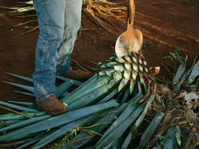 1 Woche Mexiko Kompakt Rundreise 1 1 Woche Mexiko Kompakt Rundreise