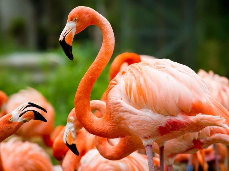 2 Wochen Mexiko Highlights Rundreise 4 2 Wochen Mexiko Highlights Rundreise