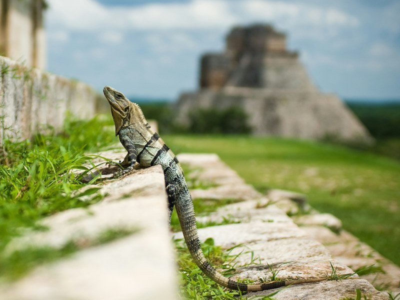 12 Tage Yucatan Mietwagen Rundreise 4 12 Tage Yucatan Mietwagen Rundreise