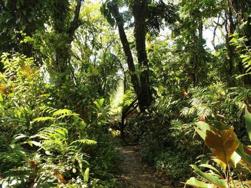 13 Tage Mexiko Aktivreise 4 13 Tage Mexiko Aktivreise