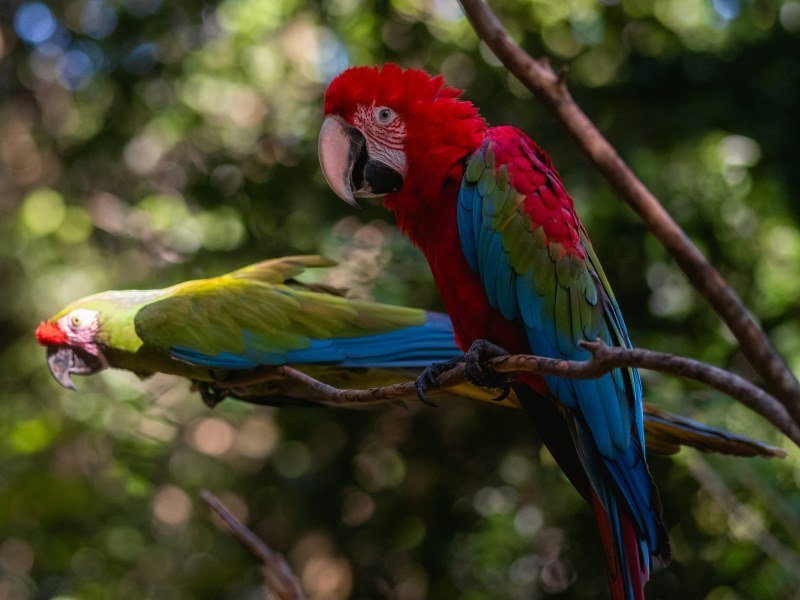 Kombireise Mexiko und Dominikanische Republik 1 Kombireise Mexiko und Dominikanische Republik