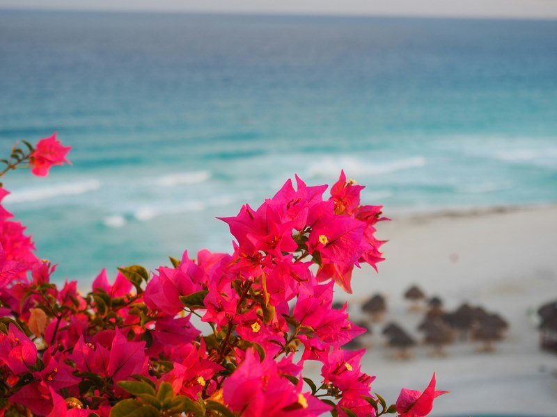 8 Tage Yucatan Rundreise 4 8 Tage Yucatan Rundreise