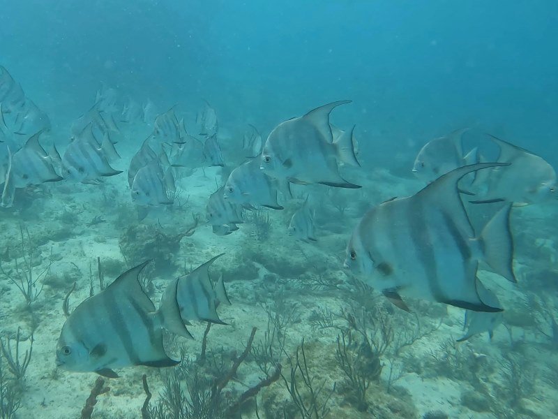 8 Tage Yucatan Rundreise 2 8 Tage Yucatan Rundreise