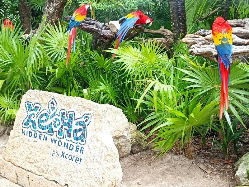 Mexiko Urlaub 2026 - Alle Kosten und Preise im Überblick 12 Xel Ha Park Fernstrasse Chetumal Puerto Juarez Quintana Roo - Kolumbien Individual